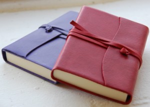 carnet du voyageur