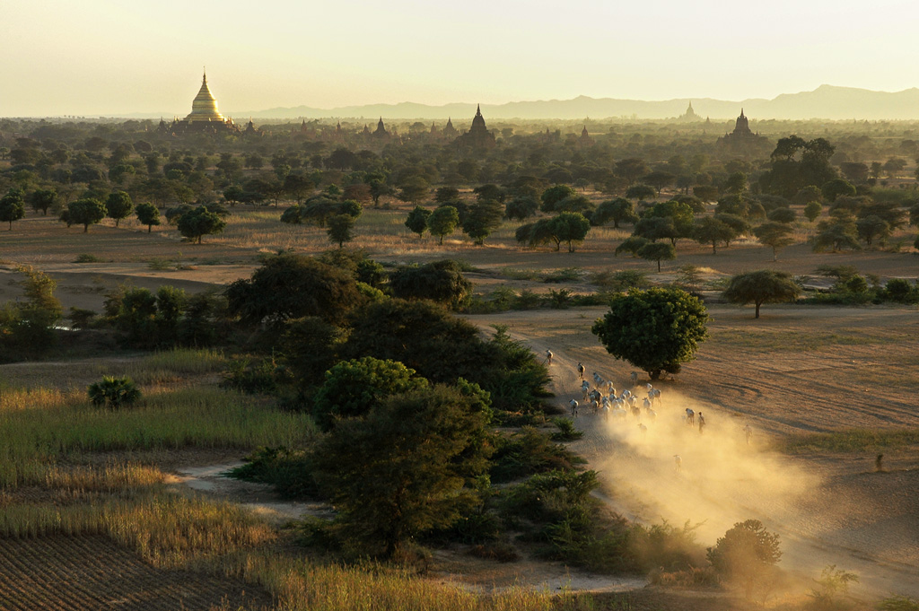 Bagan