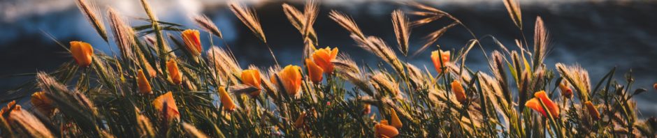 Arrière-saison sur la côte : pourquoi choisir un séjour à la mer en octobre et novembre ?